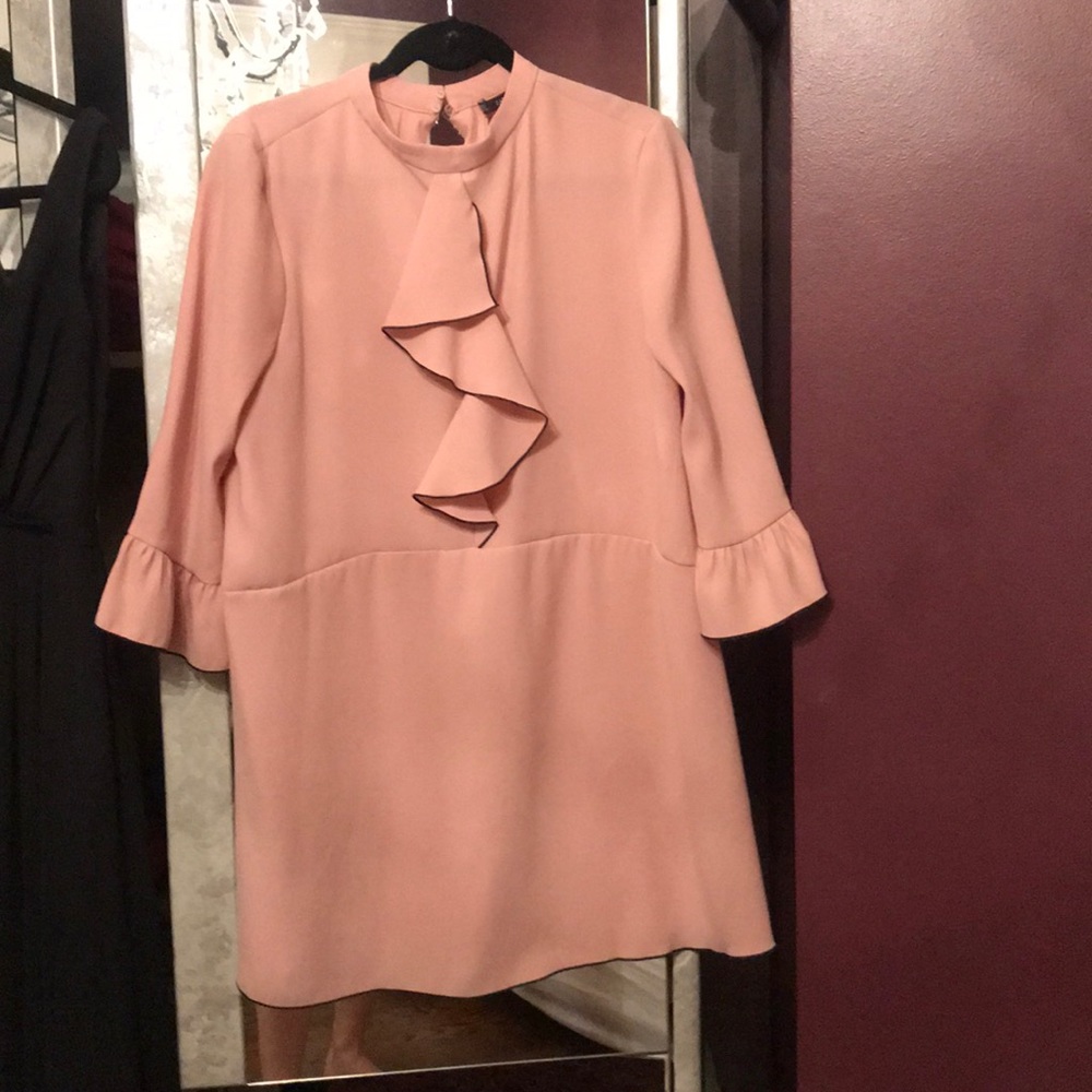Zara Pink Work Drop waist dress